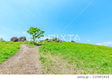 初夏の押戸石の丘　熊本県南小国町 115941418