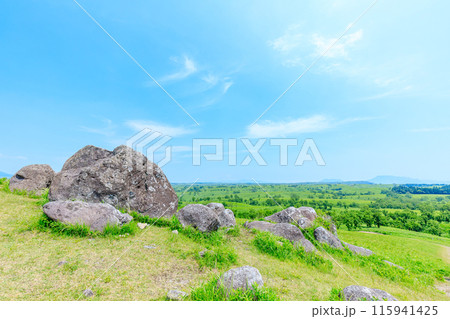 初夏の押戸石の丘 熊本県南小国町 初夏の押戸石の丘 熊本県南小国町 115941425