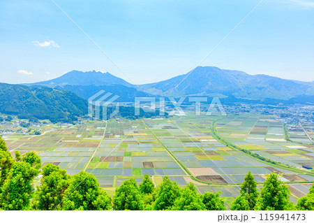 初夏の城山展望所から見た景色　熊本県阿蘇市 115941473
