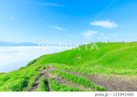 初夏の大観峰から見た雲海と景色　熊本県阿蘇市 115941480