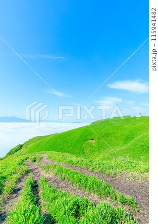 初夏の大観峰から見た雲海と景色　熊本県阿蘇市 115941482