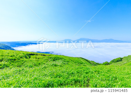 初夏の大観峰から見た雲海と景色 熊本県阿蘇市 初夏の大観峰から見た雲海と景色 熊本県阿蘇市 115941485