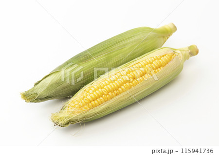 白背景に新鮮なトウモロコシ 115941736