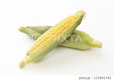 白背景に新鮮なトウモロコシ 115941742