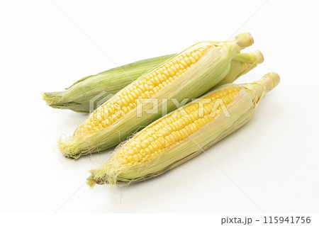 白背景に新鮮なトウモロコシ 115941756