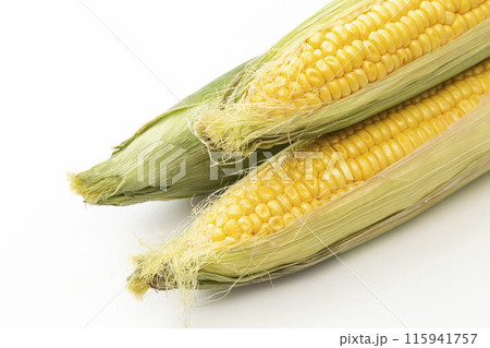 白背景に新鮮なトウモロコシ 115941757