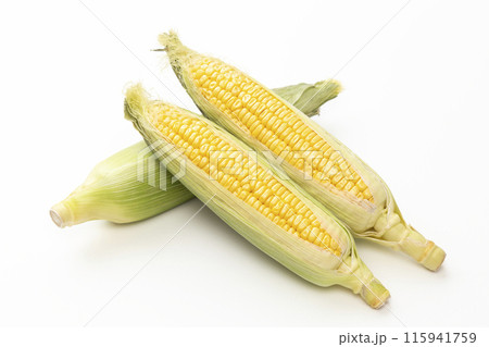 白背景に新鮮なトウモロコシ 115941759