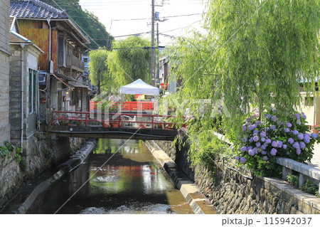 静岡県下田市　ペリーロードの街並み 115942037