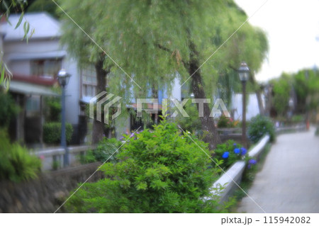 静岡県下田市　ペリーロードの街並み 115942082