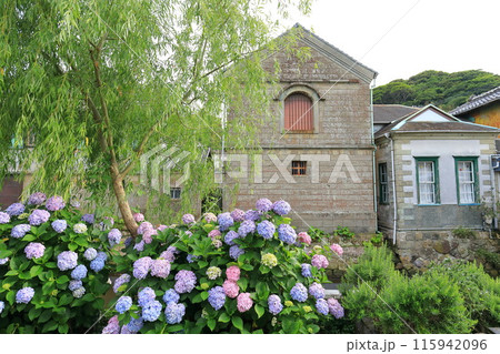 静岡県下田市　ペリーロードの街並み 115942096