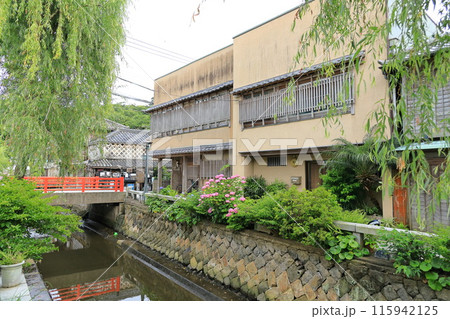 静岡県下田市　ペリーロードの街並み 115942125