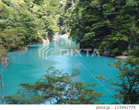 緑に囲まれ青々と輝く水面 115942778