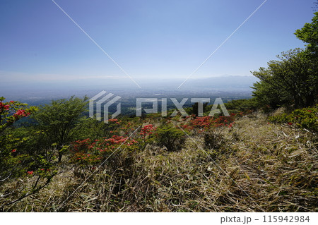 赤城山の鍋割山 山頂から南に下る登山道から鍋割高原に出たところ 2024年5月14日 赤城山の鍋割山 山頂から南に下る登山道から鍋割高原に出たところ 2024年5月14日 115942984