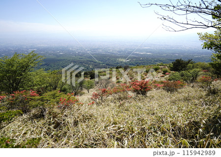 赤城山の鍋割山 山頂から南に下る登山道から鍋割高原に出たところ付近 2024年5月14日 赤城山の鍋割山 山頂から南に下る登山道から鍋割高原に出たところ付近 2024年5月14日 115942989
