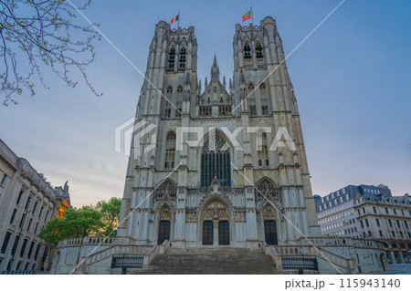 ベルギー　ブリュッセル　サンミッシェル大聖堂 115943140