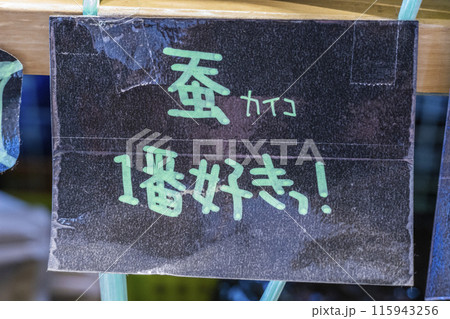 手書きのパネル 115943256