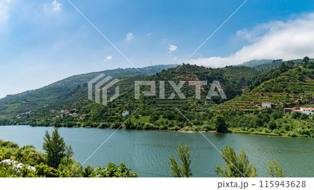 View of Douro Valley, Portugal. 115943628