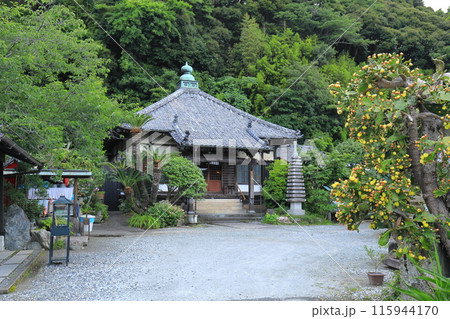 伊豆下田の長楽寺の本堂 伊豆下田の長楽寺の本堂 115944170