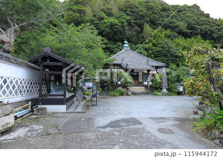 伊豆下田の長楽寺の本堂 115944172