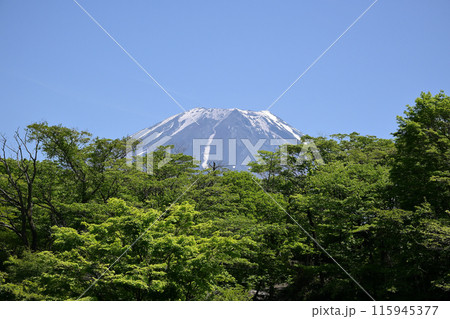 夏の富士山 夏の富士山 115945377