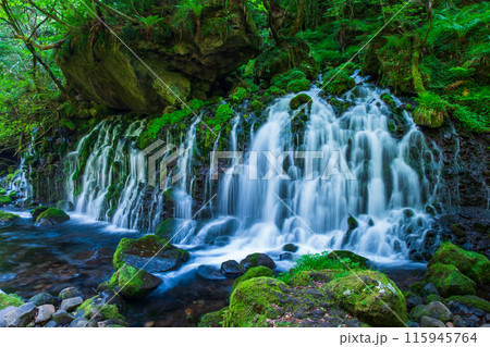 元滝伏流水 115945764