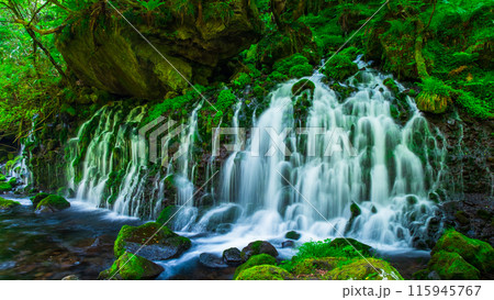 元滝伏流水 115945767