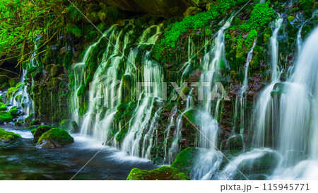 元滝伏流水 115945771