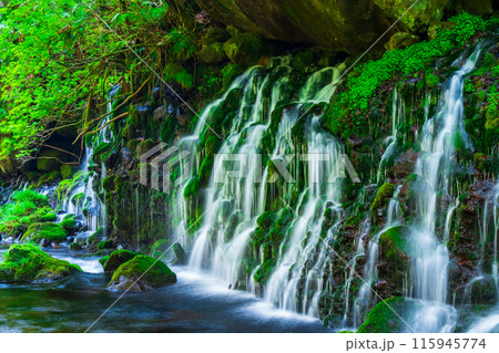 元滝伏流水 115945774