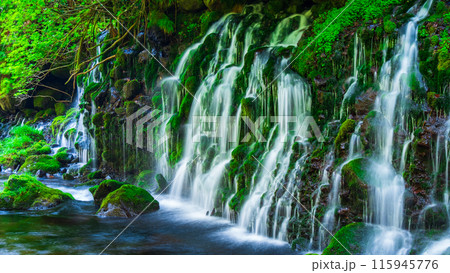 元滝伏流水 115945776