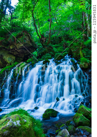 元滝伏流水 115945831