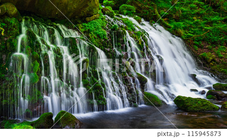 元滝伏流水 115945873