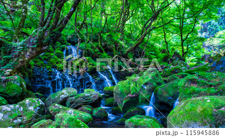 元滝伏流水 元滝伏流水 115945886