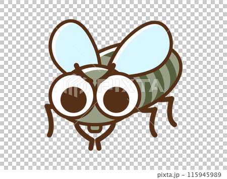 害虫_ハエのイラスト 115945989