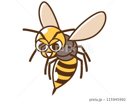 害虫_ハチのイラスト 害虫_ハチのイラスト 115945992