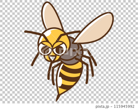 害虫_ハチのイラスト 害虫_ハチのイラスト 115945992