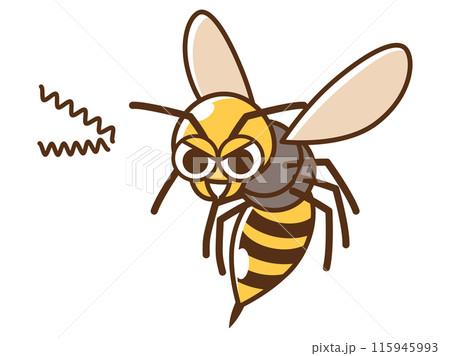 害虫_睨むハチ 害虫_睨むハチ 115945993