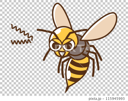 害虫_睨むハチ 害虫_睨むハチ 115945993