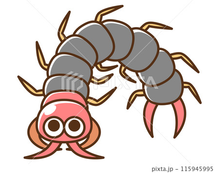 害虫_ムカデのイラスト 115945995