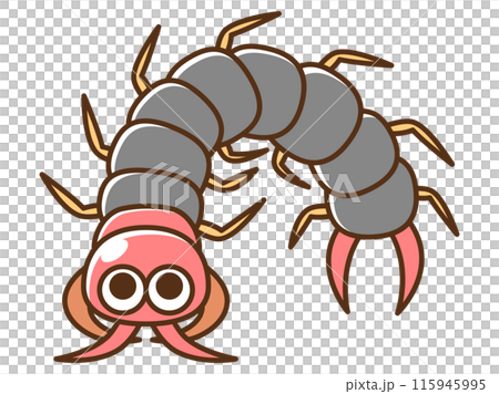 Pest_centipede 插圖 115945995