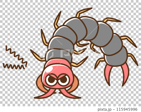 Pest_耀眼蜈蚣 115945996