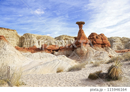 トッドストゥール フードゥース　ユタ州、グランド・ステアケース・エスカランテ国定公園にあるキノコ岩 115946164