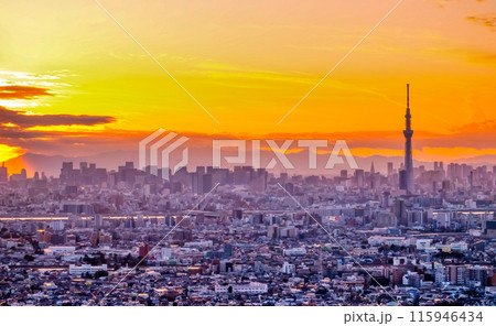 東京・夕焼け 東京・夕焼け 115946434