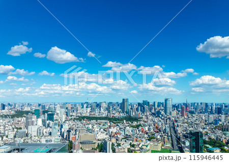 東京風景　渋谷から望む都心方面 115946445