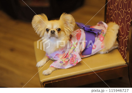 ペキチワ ペキチワ 115946727