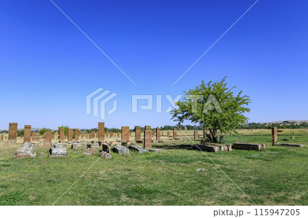 アフラトの墓地 115947205