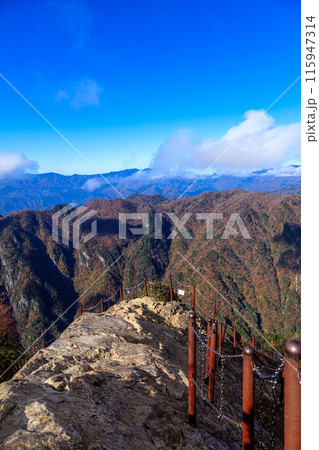 2017年秋　大台ケ原　遠景の山並みと山肌を覆う紅葉　大蛇嵓にて② 115947314