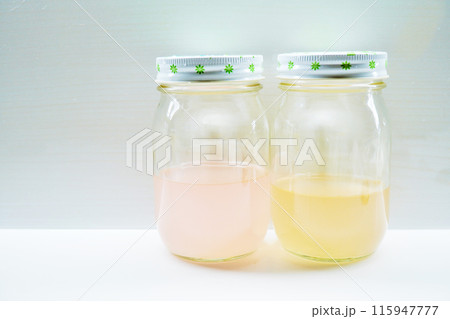 カレンデュラとボリジの花をそれぞれ除いた後の薄ピンク色とオレンジ色の自家製の天然花酵母液の比較 カレンデュラとボリジの花をそれぞれ除いた後の薄ピンク色とオレンジ色の自家製の天然花酵母液の比較 115947777