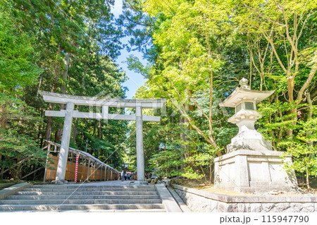 越後一宮 彌彦神社 二の鳥居 越後一宮 彌彦神社 二の鳥居 115947790