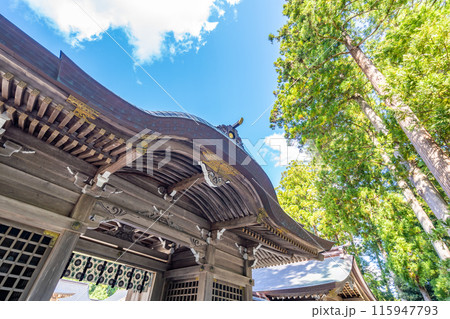越後一宮 彌彦神社　随神門　左右に伊夜日子大神に随行警護する長気(右側)長邊(左側)の兄弟神を奉祀 115947793
