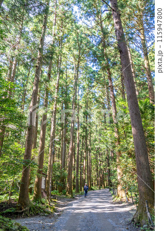 弥彦山万葉の道　万葉の歌に詠まれている草木の78種を沿道に植栽　自らの足で一歩一歩神に近づく登拝路 115947800